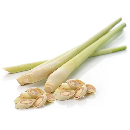 Fresh Lemongrass