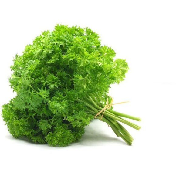 Fresh Parsley